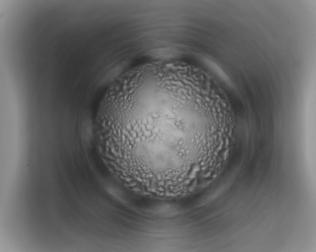 X0000114200549200910091255