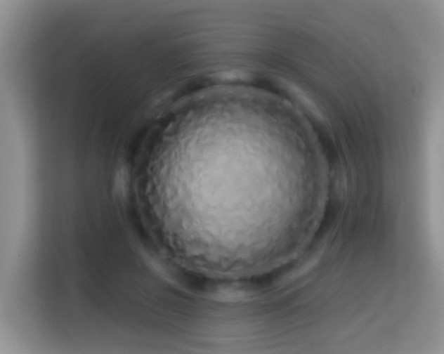 X0000114200550200910091255