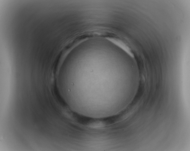 X0000114200551200910091255