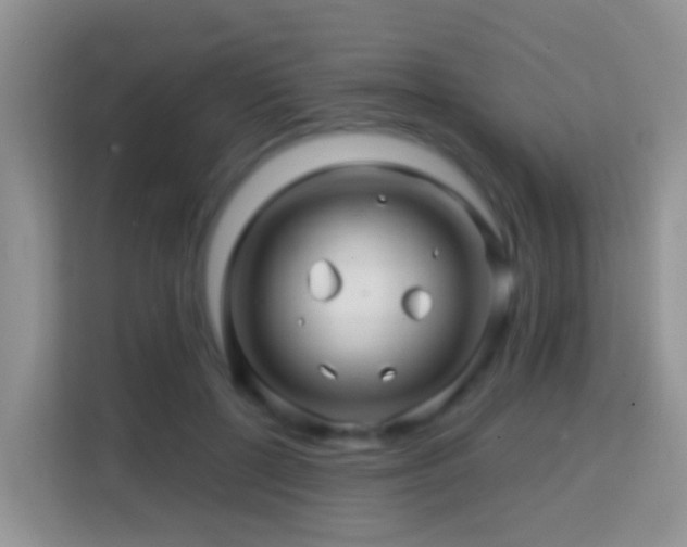 X0000114200552200910091255
