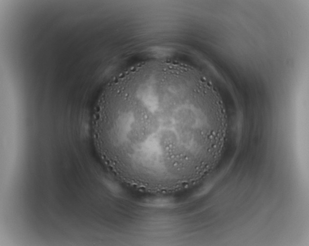 X0000114200553200910091255
