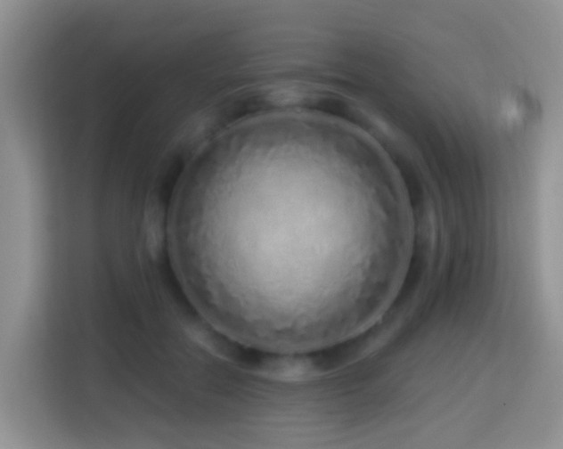 X0000114200554200910091255