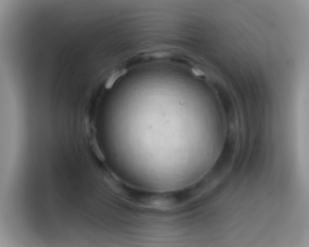 X0000114200555200910091255