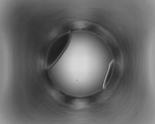 X0000114200556200910091255