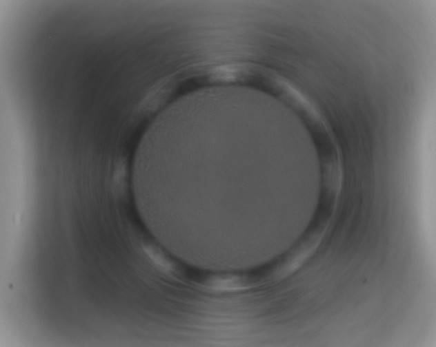X0000114200557200910091255
