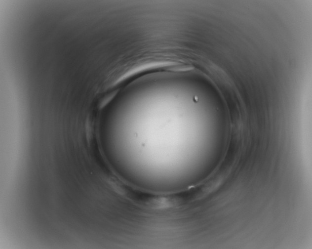 X0000114200558200910091255