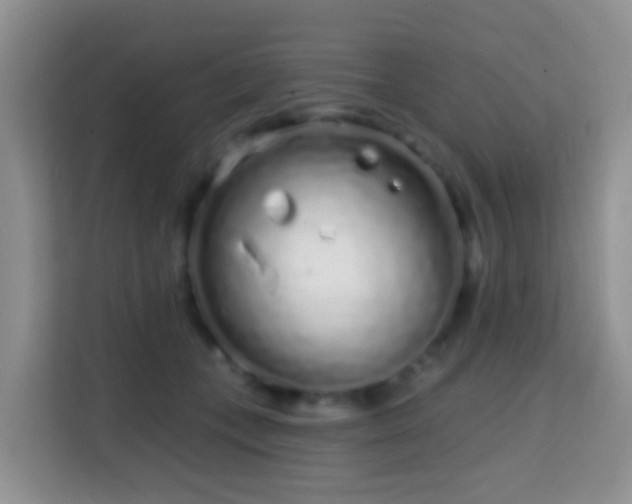 X0000114200559200910091255