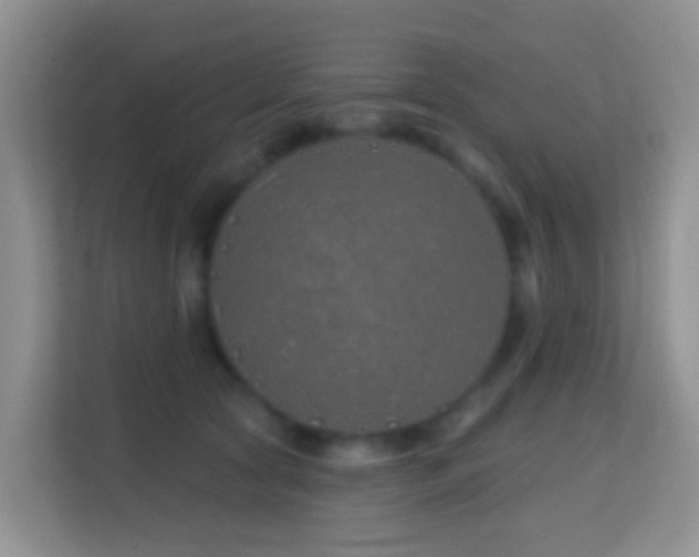 X0000114200561200910091255