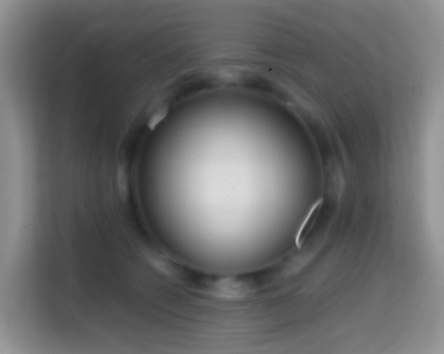 X0000114200562200910091255