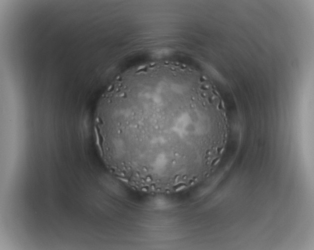 X0000114200565200910091255