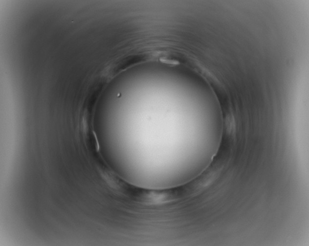 X0000114200570200910091255