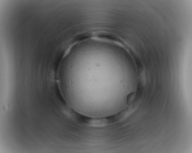 X0000114200571200910091255