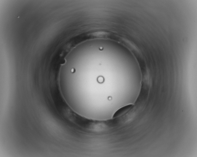 X0000114200572200910091255