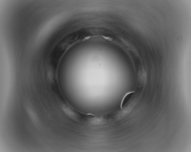 X0000114200574200910091255