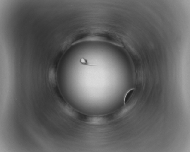 X0000114200575200910091255