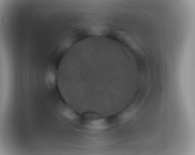 X0000114200576200910091255