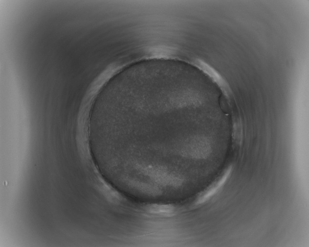 X0000114200577200910091254