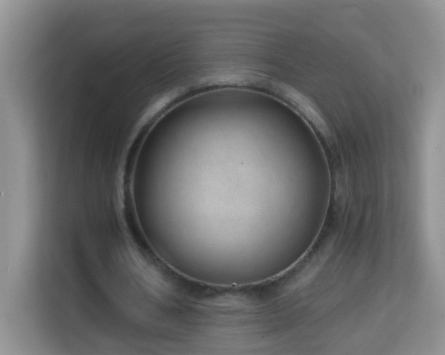 X0000114200578200910091254