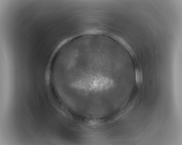 X0000114200579200910091254