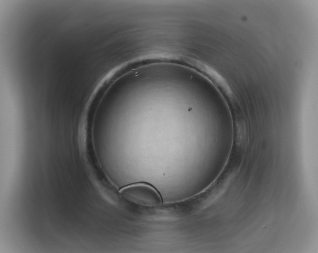 X0000114200580200910091254