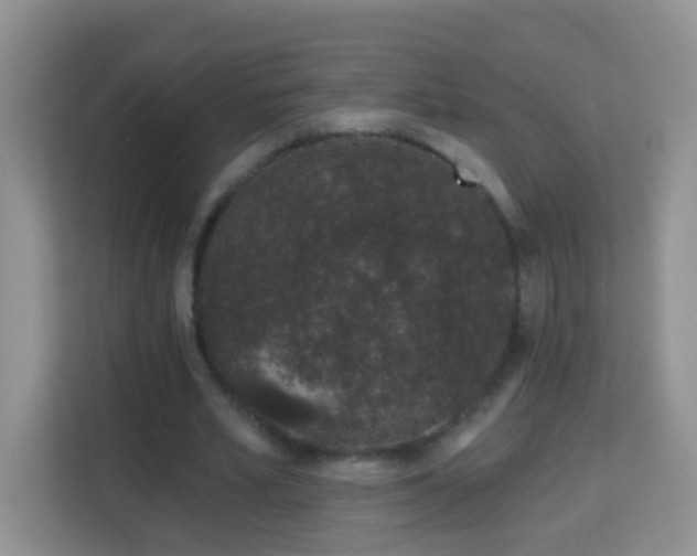 X0000114200581200910091254
