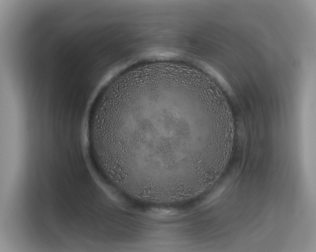 X0000114200582200910091254