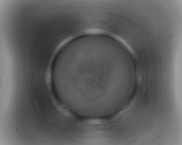 X0000114200583200910091254