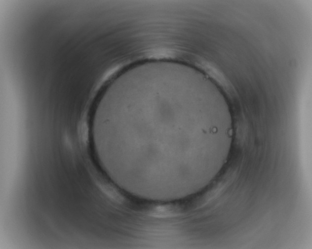 X0000114200584200910091254