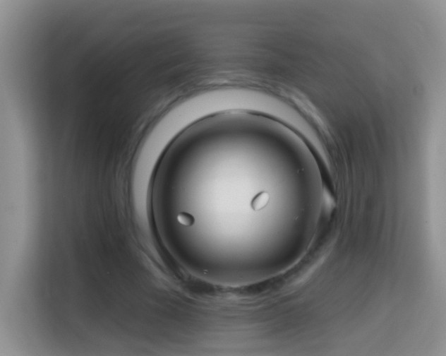 X0000114200585200910091254