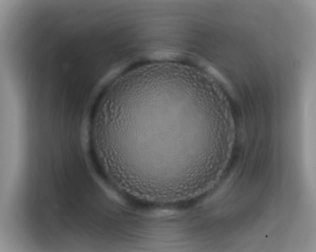 X0000114200586200910091254