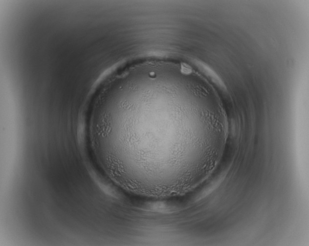 X0000114200588200910091254