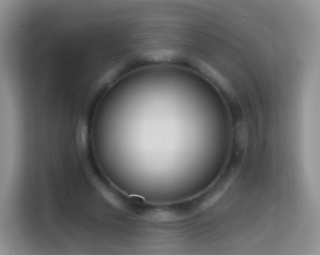 X0000114200589200910091254