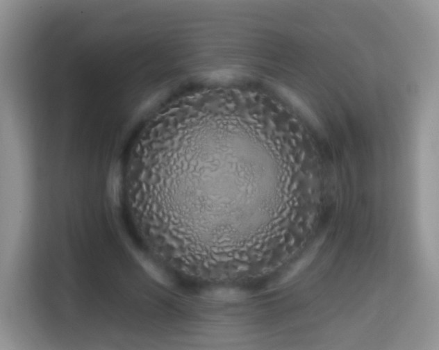 X0000114200590200910091254