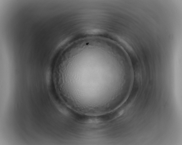 X0000114200591200910091254