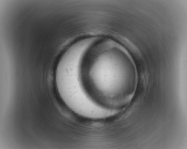 X0000114200592200910091254