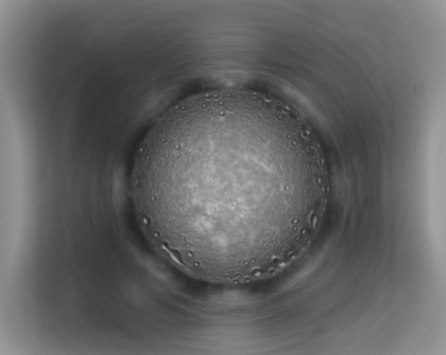 X0000114200594200910091254