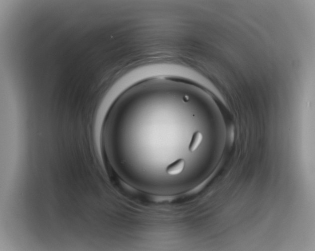 X0000114200595200910091254