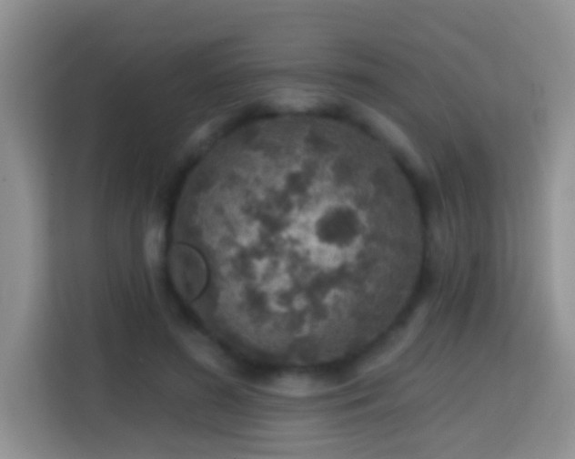 X0000114200596200910091254