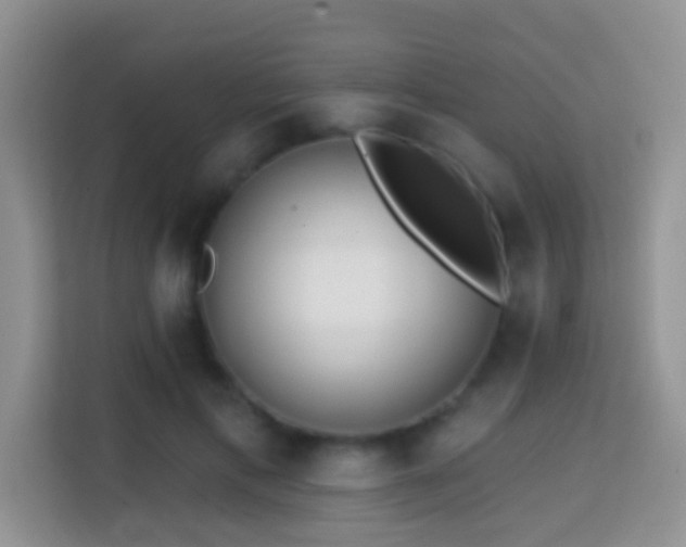 X0000114200597200910091254