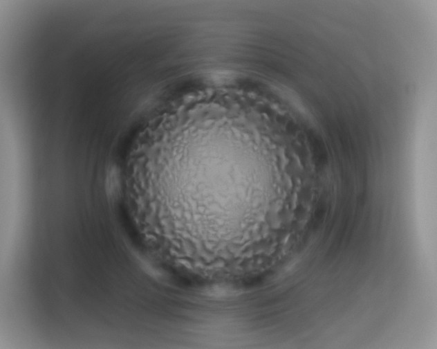 X0000114200598200910091254