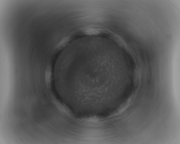 X0000114200600200910091254