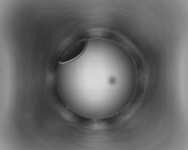 X0000114200601200910091254