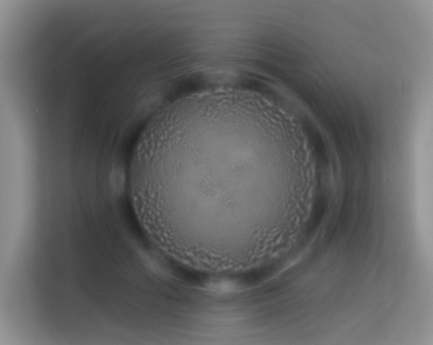 X0000114200602200910091254