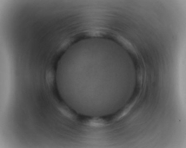 X0000114200603200910091254