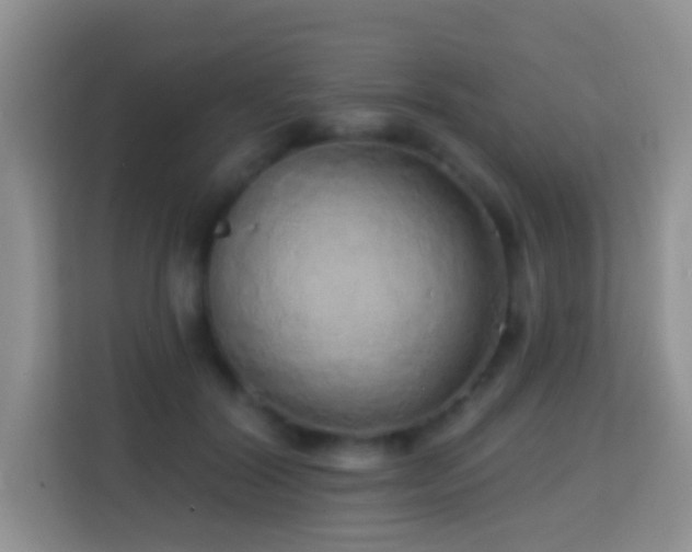 X0000114200604200910091254
