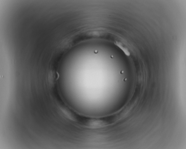 X0000114200605200910091254