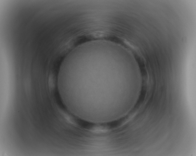 X0000114200606200910091254