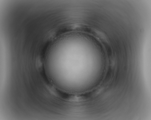 X0000114200607200910091254