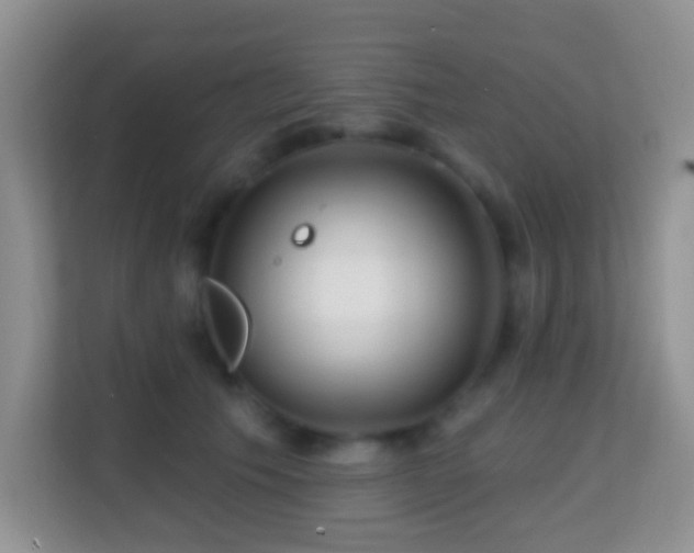 X0000114200609200910091254