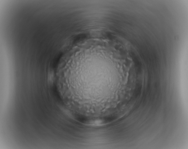 X0000114200610200910091254
